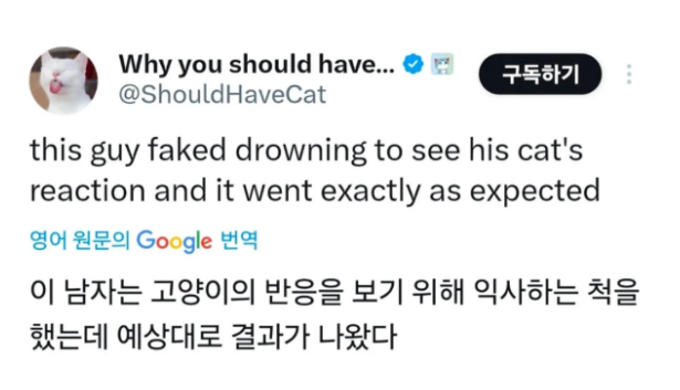 고양이 앞에서 익ㅅ하는 척해보기