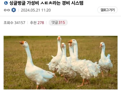 가성비 최고 생체 경비 시스템